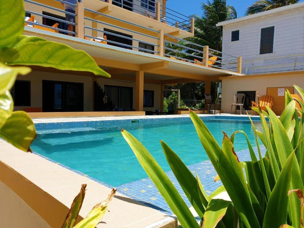 Beach Side Condos Caye Caulker By Ccvh Eksteriør bilde